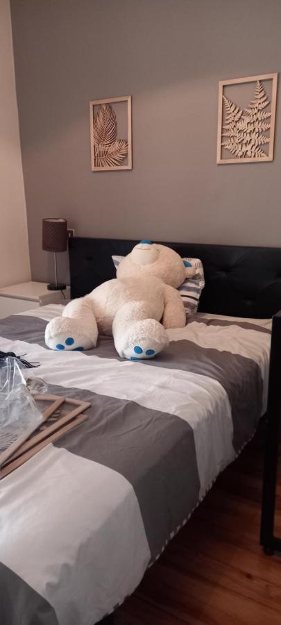 Le Gambetta T2 Cosy Hypercentre Wifi Fibre Avec Parking Apartman Pau Kültér fotó